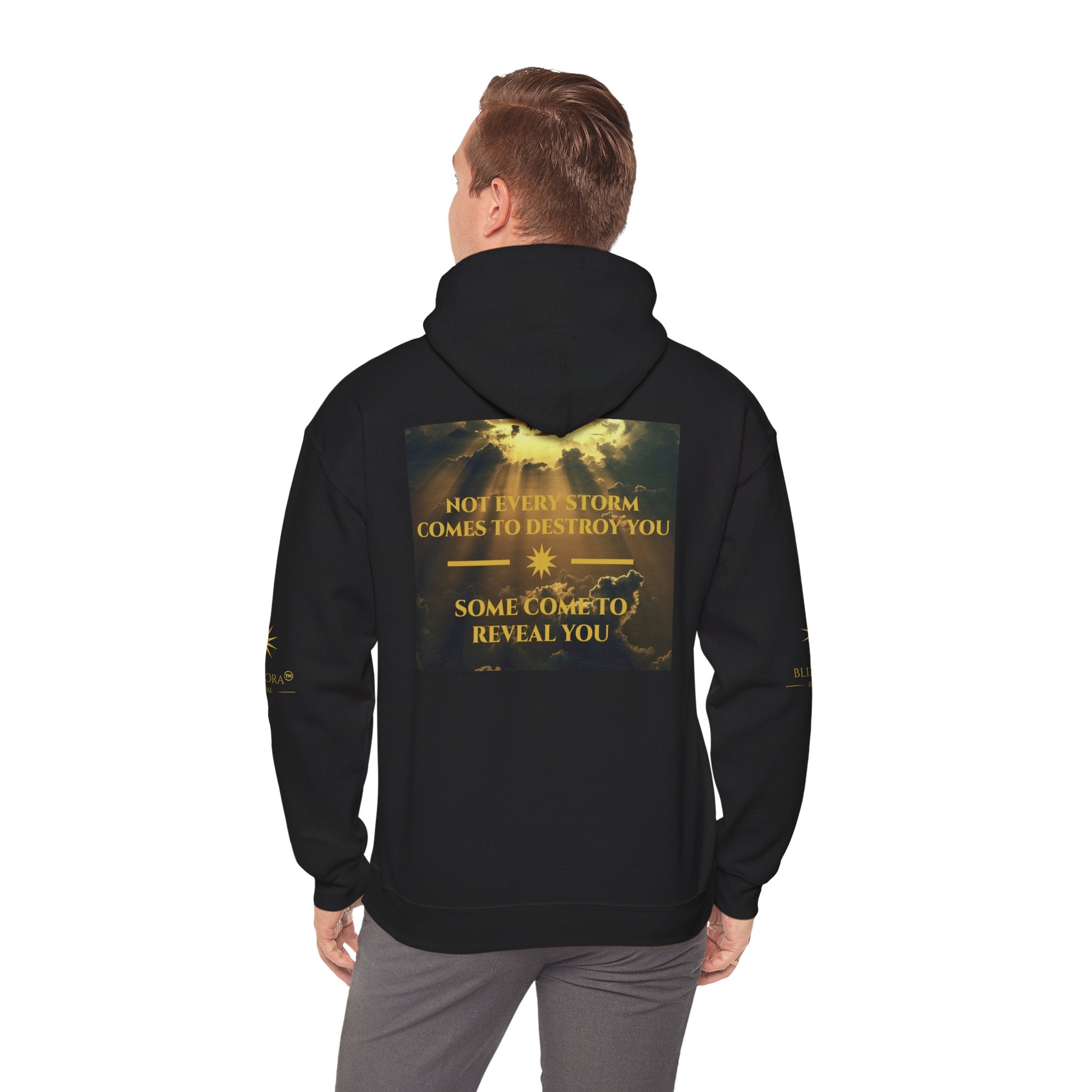 STORMS REVEAL YOU HOODIE