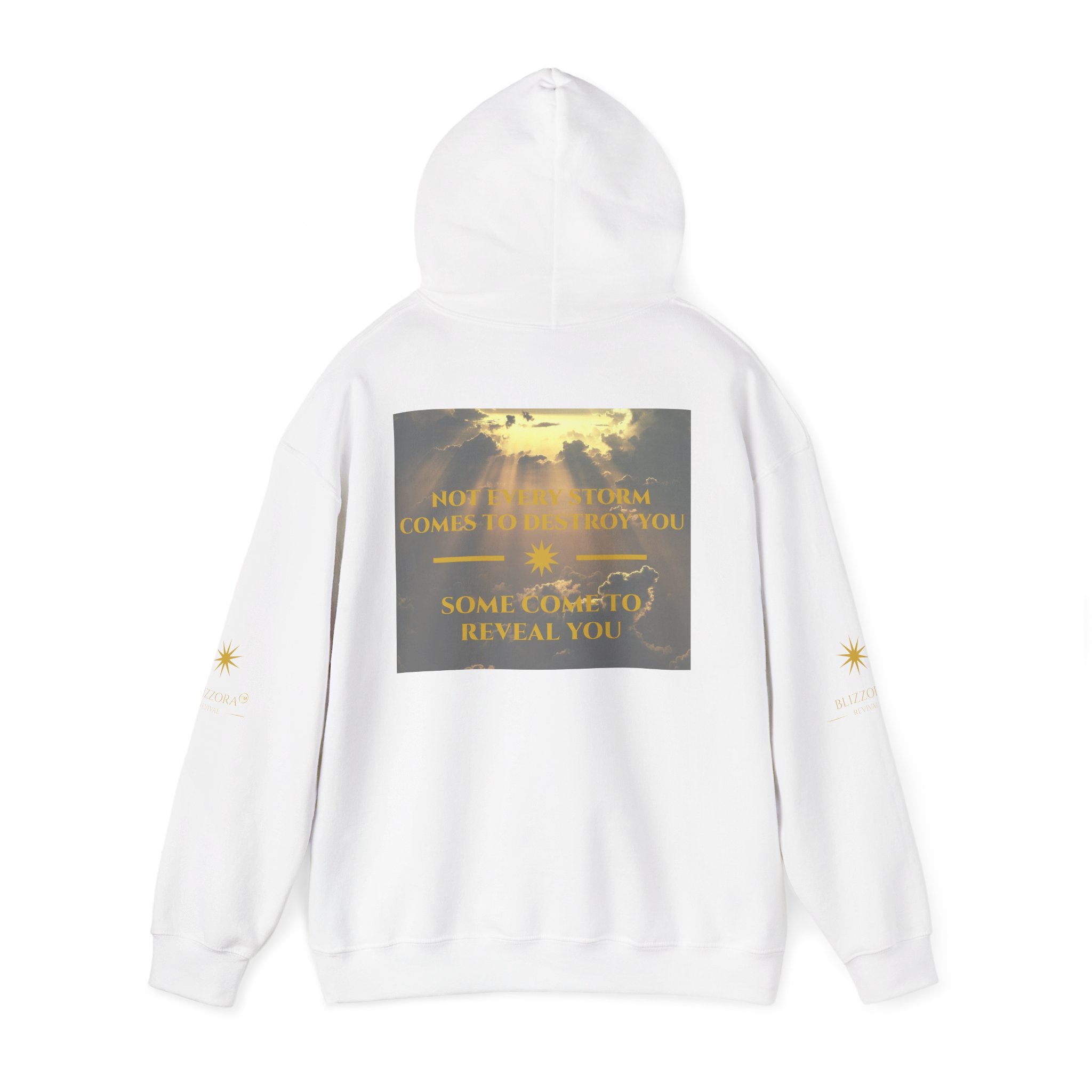 STORMS REVEAL YOU HOODIE