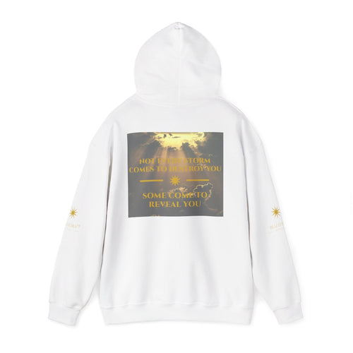 STORMS REVEAL YOU HOODIE