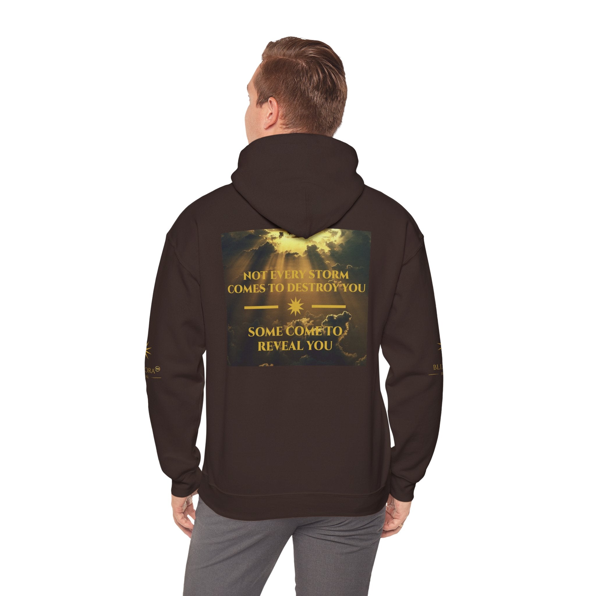 STORMS REVEAL YOU HOODIE