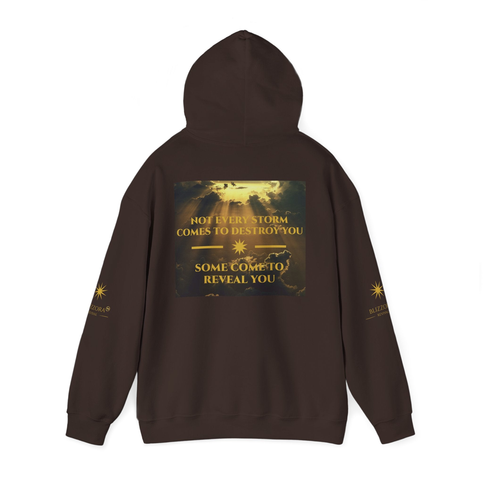 STORMS REVEAL YOU HOODIE