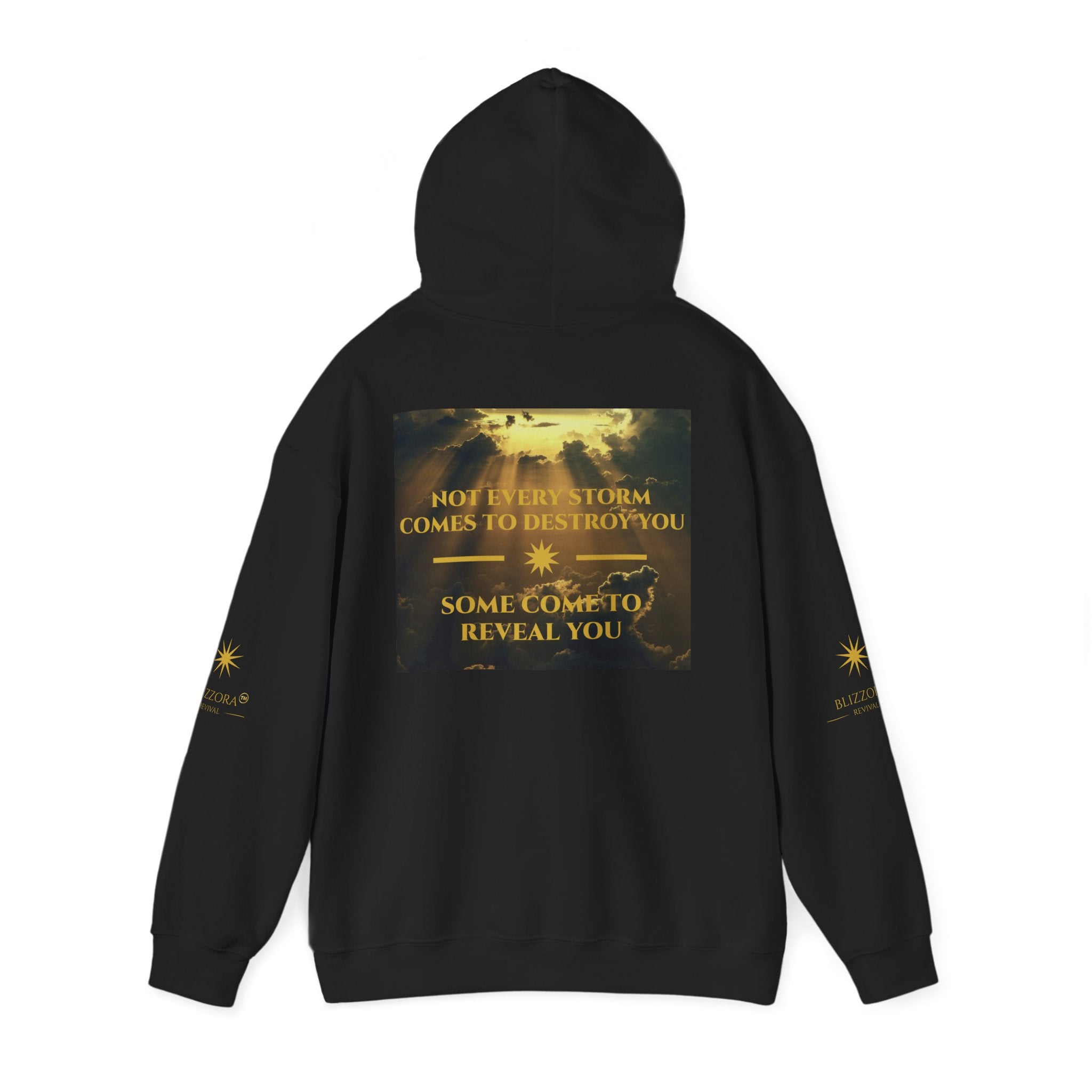 STORMS REVEAL YOU HOODIE