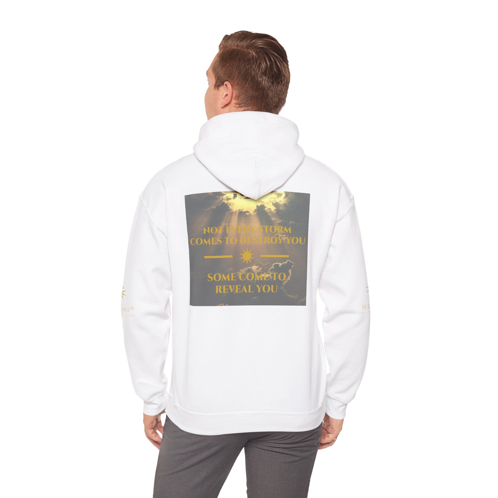 STORMS REVEAL YOU HOODIE